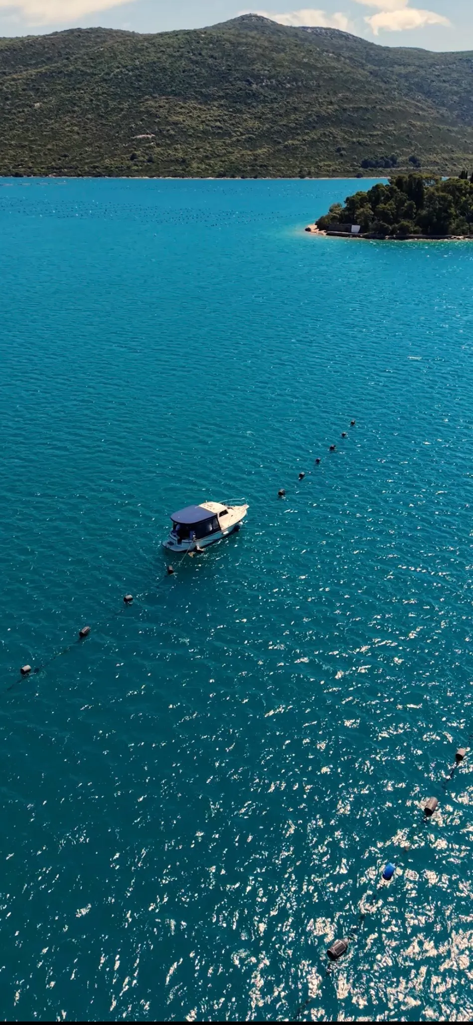the boat at the oyster farm.jpg
